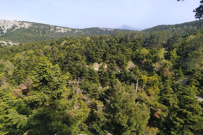 1 Day Parnitha Athens Private Hiking Tour with Hotel Pickup - From Athens hotel pickup to Parnitha’s fir forest