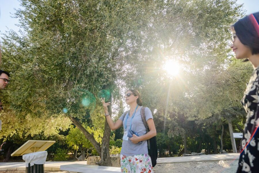 Acropolis: Acropolis and Parthenon Guided Walking Tour - Beginning at the Theatre of Dionysus