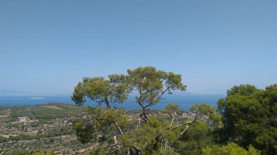 Aegina Island & Temple of Athina Aphaia Private Day Tour - FAQ