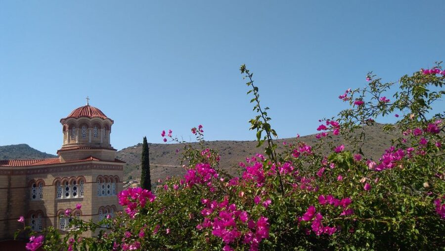 Aegina Island & Temple of Athina Aphaia Private Day Tour - Does $483 per person make sense?