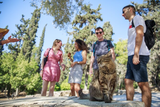 Athens Acropolis and Parthenon Walking Tour - The ticket choice and the real cost