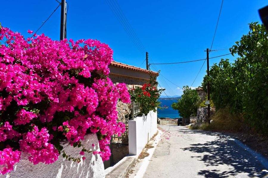 Athens: Agistri, Metopi & Aegina Cruise with Meals & Drinks - Agistri: a short taste of island life