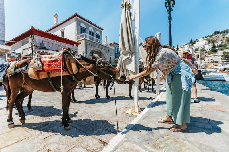 Athens Day Cruise – Since 1965 | Visit Hydra, Poros & Aegina - Aegina: pistachios, beaches, and ancient sites