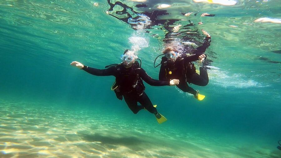 Athens East Coast: Discover Scuba Diving in Nea Makri - Your first look at the underwater world