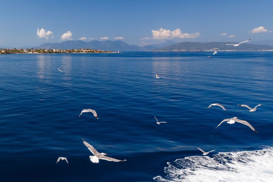 Athens: Guided Day Trip to Aegina Island with Swimming - Should you book the Aegina day trip?