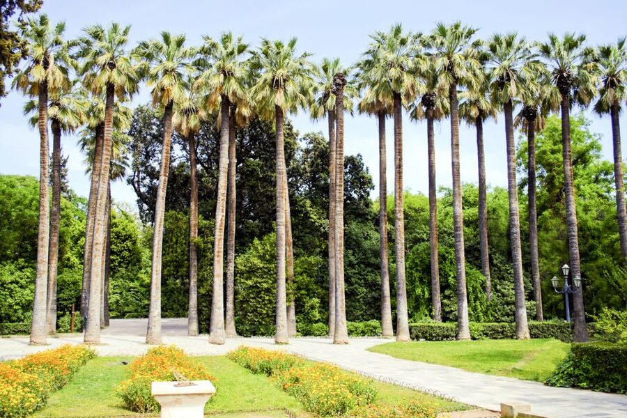Athens Instagram Tour: The Most Scenic Spots - The Presidential Palace and Panathenaic Stadium