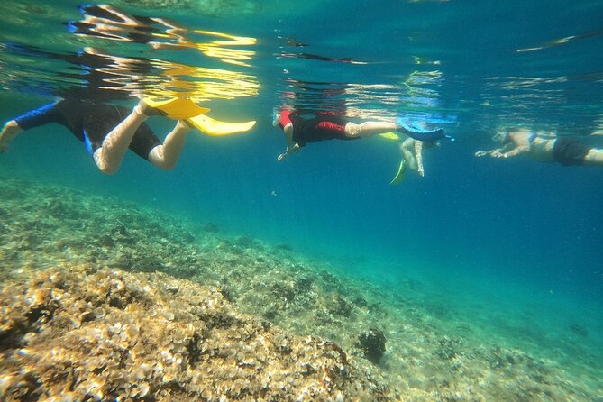 Athens, Nea Makri: Guided Small Group Snorkeling Boat Excursion - FAQ