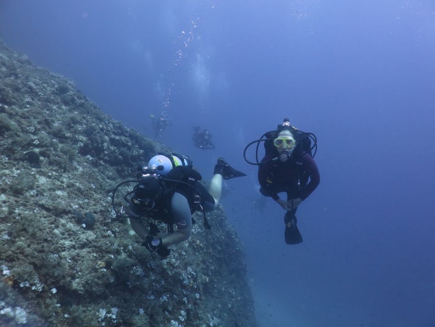 Athens: Private Discover Scuba Diving for Beginners - Learning the basics before entering the water