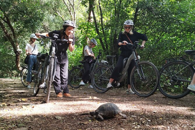 Athens Small Group Electric Bike Tour - Plaka, the Cathedral and the Presidential Guards