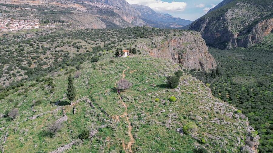 Delphi: Easy Hike on Ancient Path through the Olive Groves - Following Delphi’s ancient route downhill
