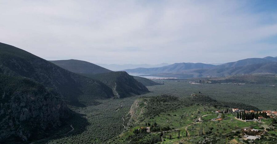 Delphi: Easy Hike on Ancient Path through the Olive Groves - From the V Hotel to Chriso and Aggali