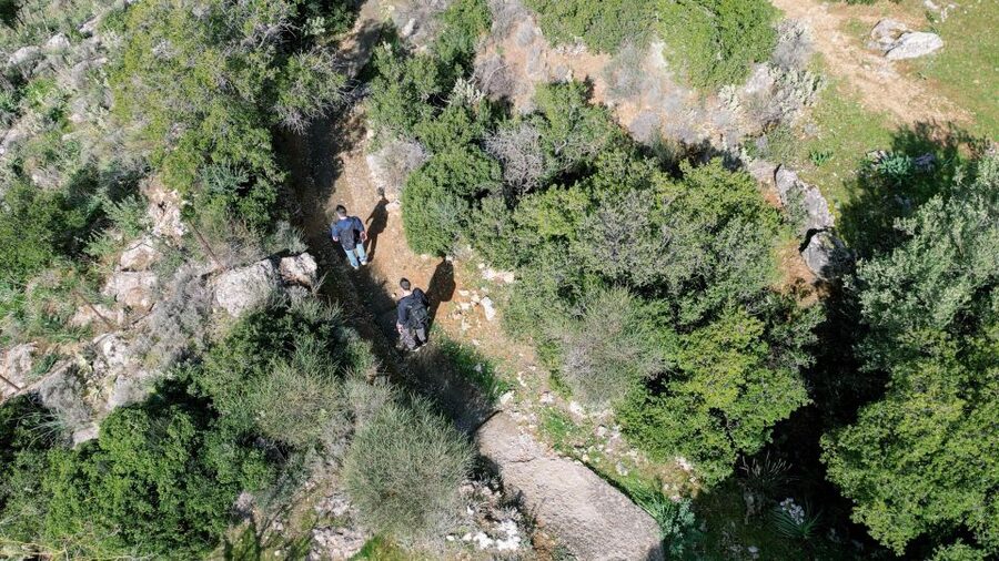 Delphi: Easy Hike on Ancient Path through the Olive Groves - Is $35 a fair price?