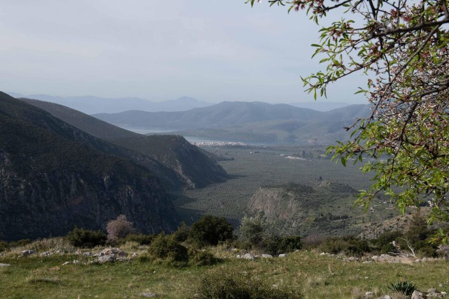 Delphi: Easy Hike on Ancient Path through the Olive Groves - Who will enjoy this walk most?