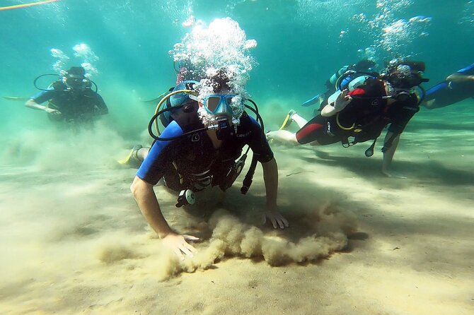 Discover Small Group Scuba Diving Experience in Nea Makri, Athens - Key points to know before you go