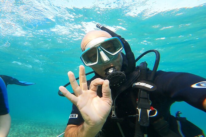 Discover Small Group Scuba Diving Experience in Nea Makri, Athens - The lesson starts on land, where the gear makes sense