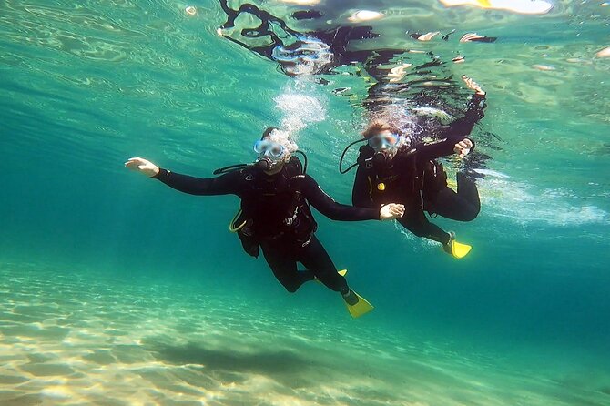 Discover Small Group Scuba Diving Experience in Nea Makri, Athens - What the $108.61 price covers