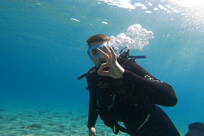 Discover Small Group Scuba Diving Experience in Nea Makri, Athens - Getting to Nea Makri and preparing for the water