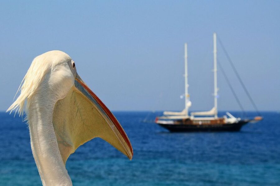From Athens: 2-Day Santorini and Mykonos Trip - Key points to know before you go