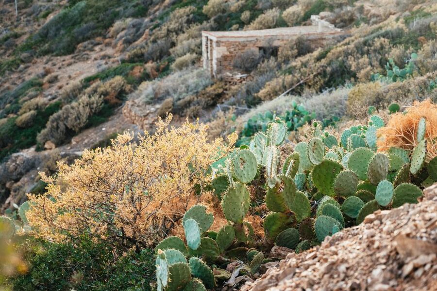 From Athens: Cape Sounion & Temple of Poseidon Half Day Tour - Guides make the ride more rewarding