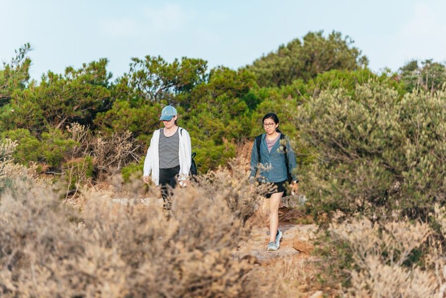 From Athens: Cape Sounion & Temple of Poseidon Half Day Tour - What the price covers, and what it does not