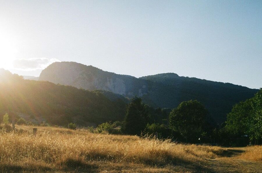 From Athens: Mt. Olympus National Park Guided Day Tour - The guide can make the long drives worthwhile