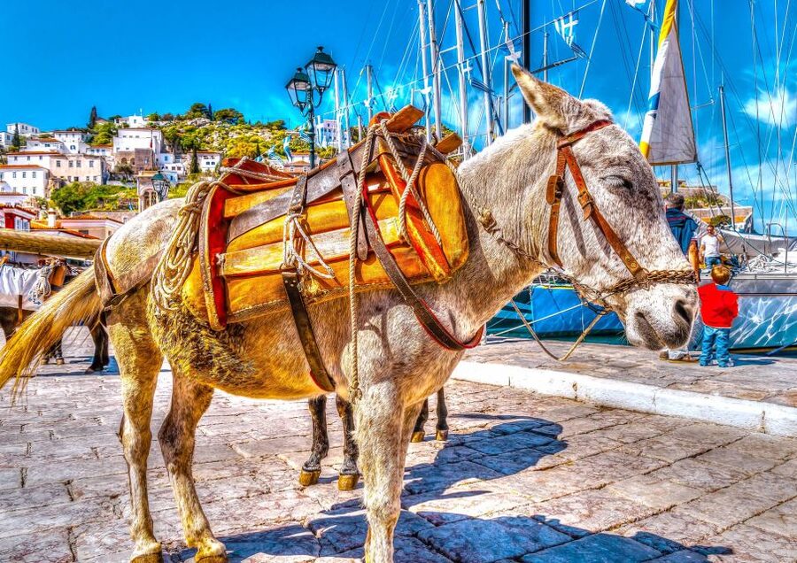 From Athens: Saronic Islands Full-Day Cruise with VIP Seats - Lunch, drinks and the value of VIP