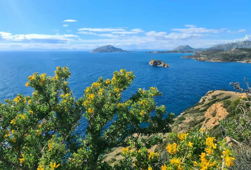 From Athens: Temple of Poseidon & Cape Sounion Half-Day Tour - Cape Sounion at a glance