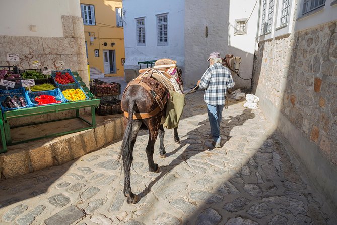 Hydra, Poros and Egina Day Cruise from Athens with Optional VIP Upgrade - The return voyage and the practical snags