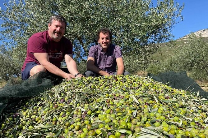 Olive Oil Tour & Tasting with sommelier -Kalentzi, Athens daytrip - What the two-hour format gives you