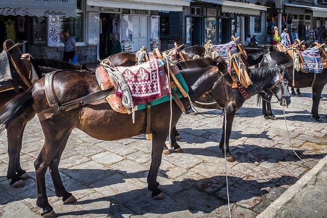One Day Cruise to Hydra, Poros and Aegina from Athens - Hydra: walk the harbor and look beyond the shops