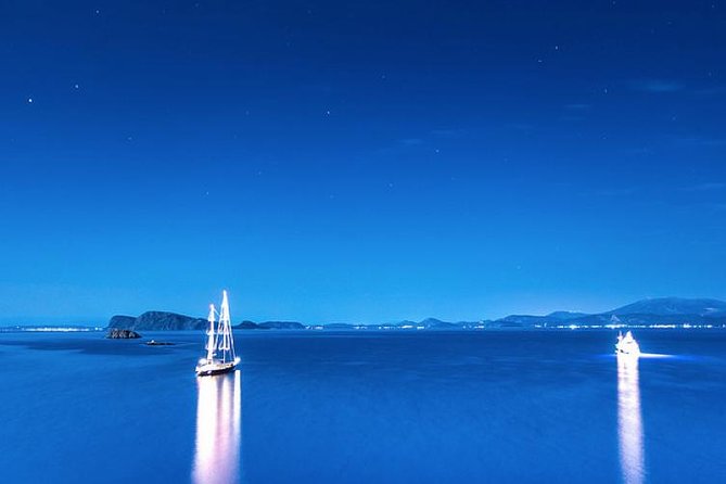 One Day Cruise to Hydra, Poros and Aegina from Athens - Who should book this cruise?