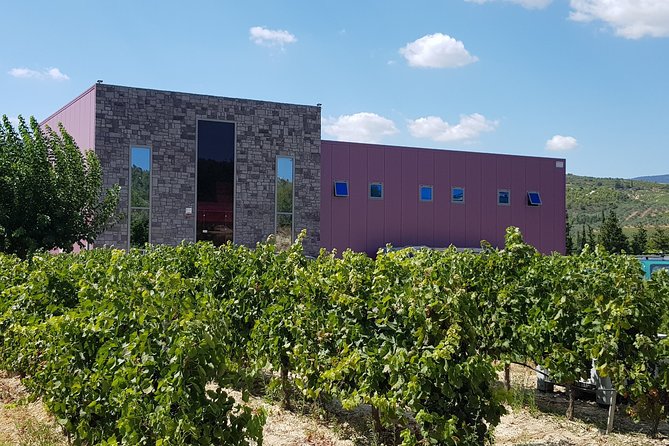 Premium Nemea Wine Tour from Athens, Nafplio or Nemea, with Oenologists - Lunch in Nemea: local food and more wine