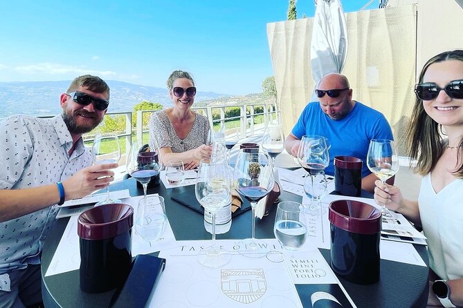 Premium Nemea Wine Tour from Athens, Nafplio or Nemea, with Oenologists - Should you book it?