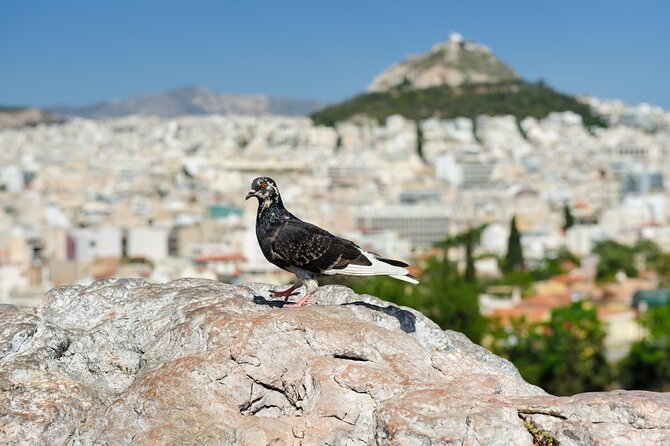 Private Luxury Biblical Tour: Apostle Paul in Athens & Corinth - A quiet church stop in central Athens