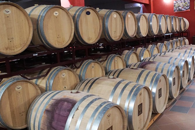 Wine Roads Private Day Tour: Corinth - Ancient Nemea & Wine Tasting - Acrocorinth’s High View