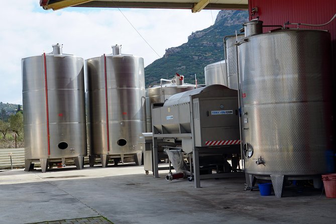 Wine Roads Private Day Tour: Corinth - Ancient Nemea & Wine Tasting - How the Private Format Works