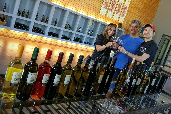 Wine Trails Private Tour/ Nemea visit 3 wineries from Athens or Nafplion (10 h) - The guide can shape the day